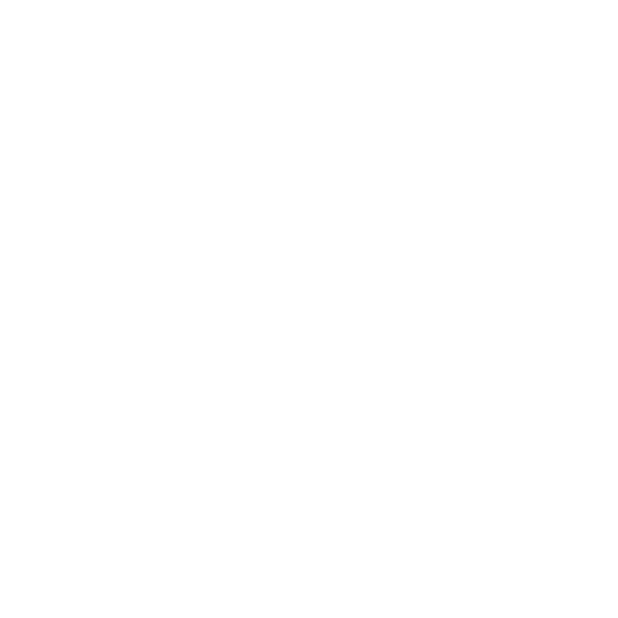 Digital Spot