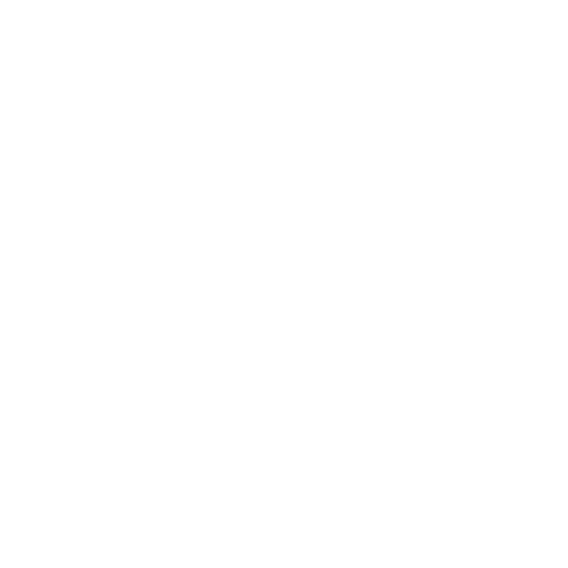 Shoemaster