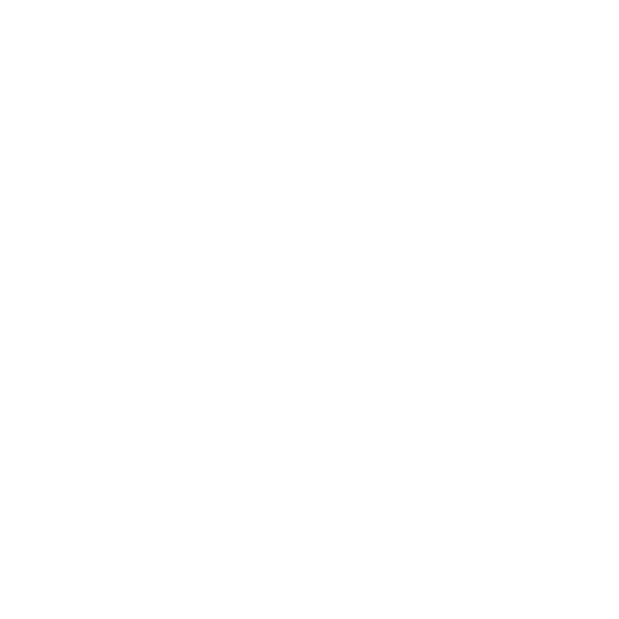 Home Bargains