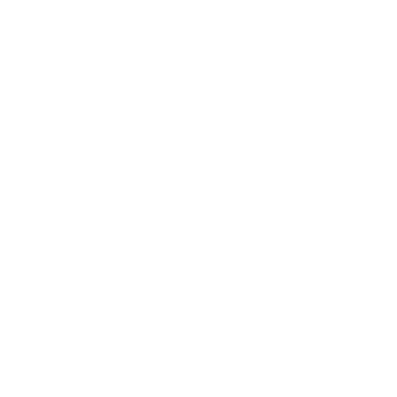 Max Spielmann