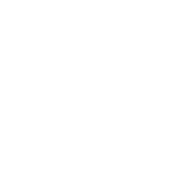 O.L.L.Y