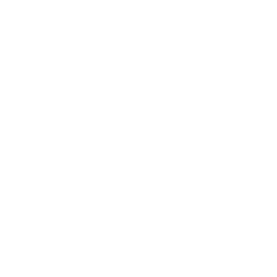 The Big Onion